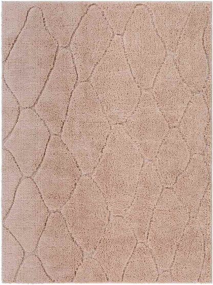 Haps Modern Peach Area Rug