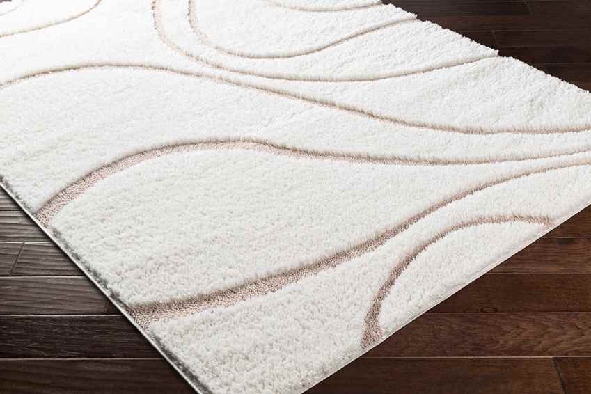 Haren Modern Blush Area Rug