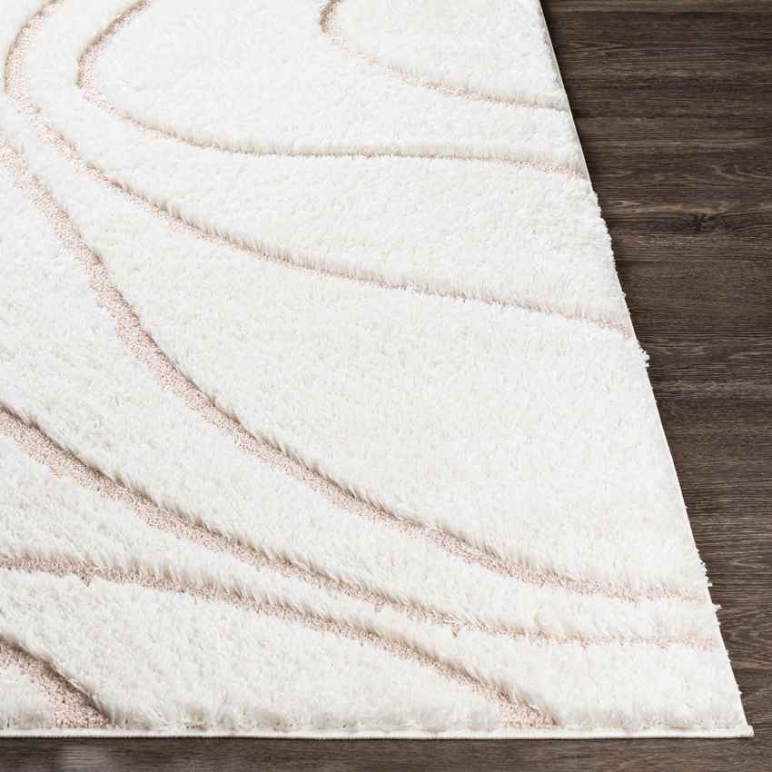 Haren Modern Blush Area Rug