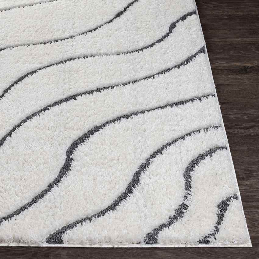 Haring Modern Cream Area Rug