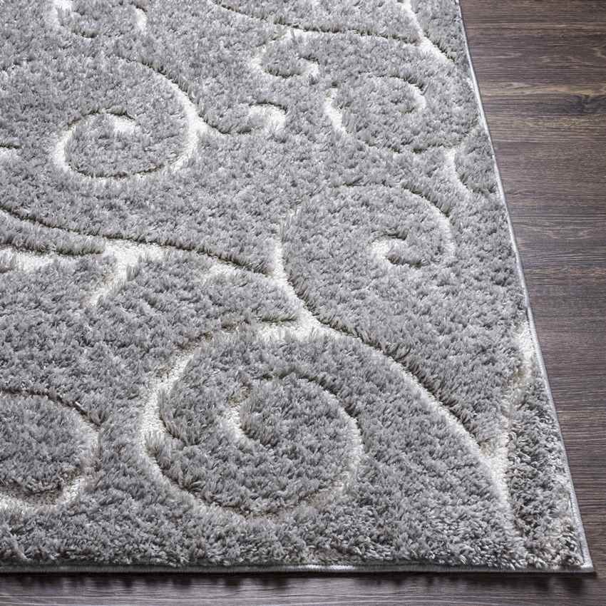 Hazelaar Modern Light Gray Area Rug