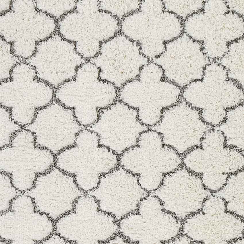 Hazennest Modern Cream Area Rug