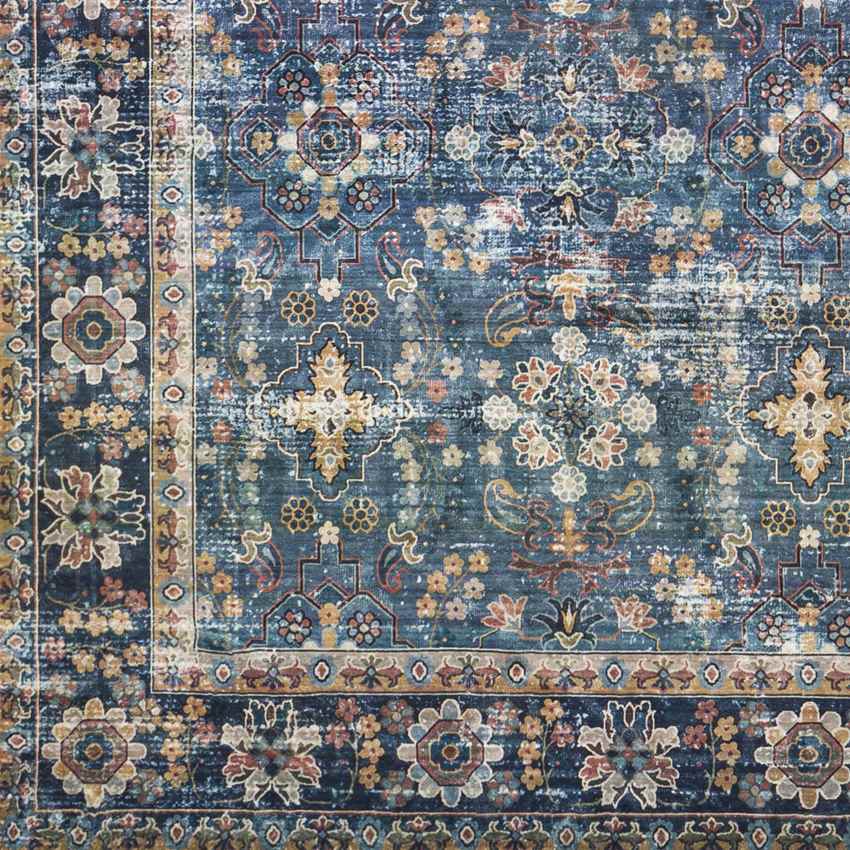 Heesbeen Traditional Beige Area Rug