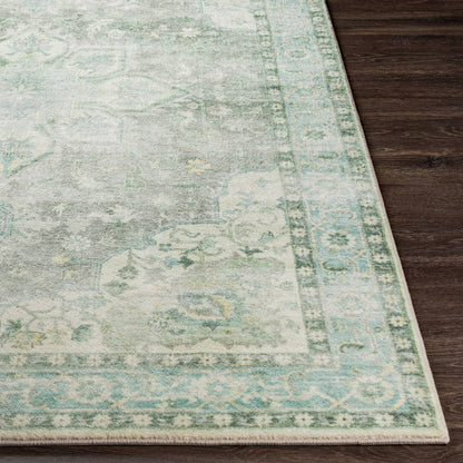 Heiereind Traditional Sage Area Rug
