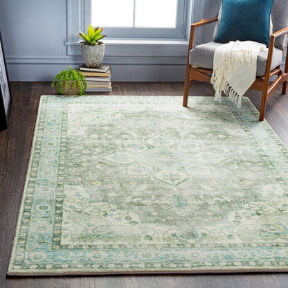 Heiereind Traditional Sage Area Rug