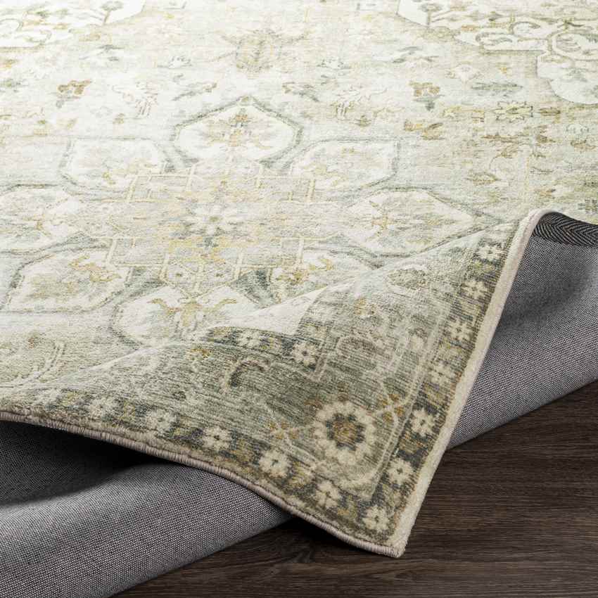 Heiereind Traditional Cream Area Rug