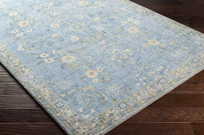 Heidveld Traditional Sky Blue Area Rug