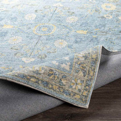 Heidveld Traditional Sky Blue Area Rug