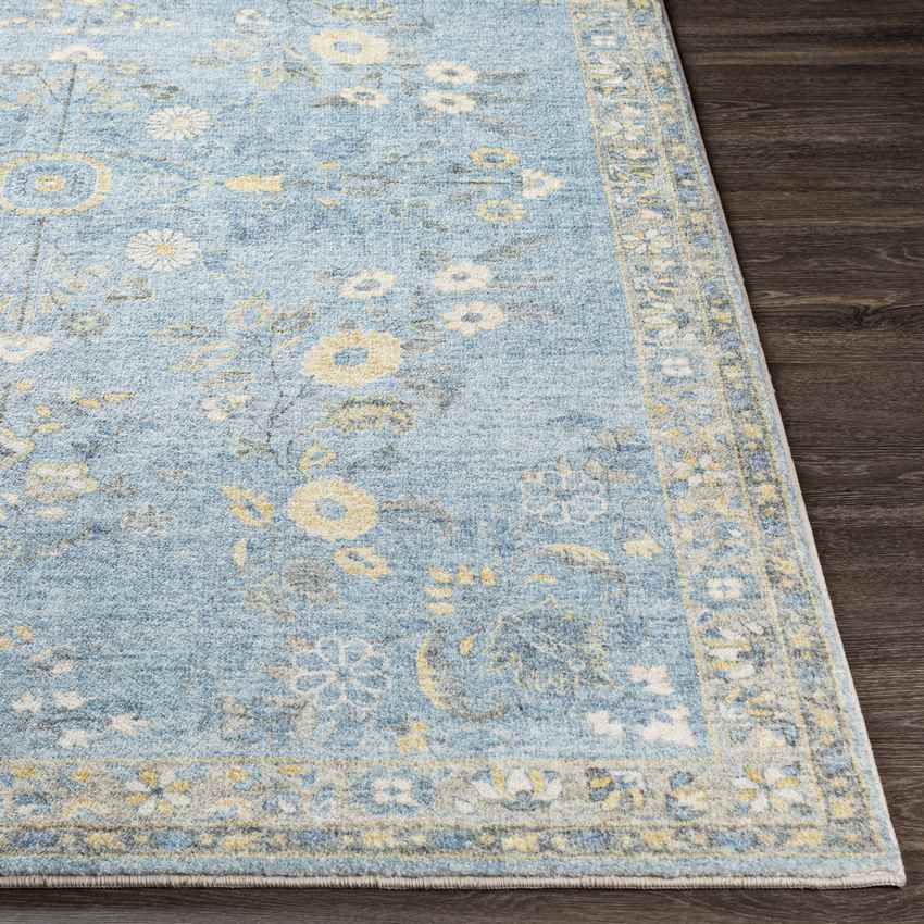 Heidveld Traditional Sky Blue Area Rug