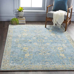Heidveld Traditional Sky Blue Area Rug