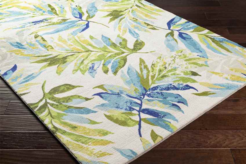 Heihoefke Coastal Lime Area Rug