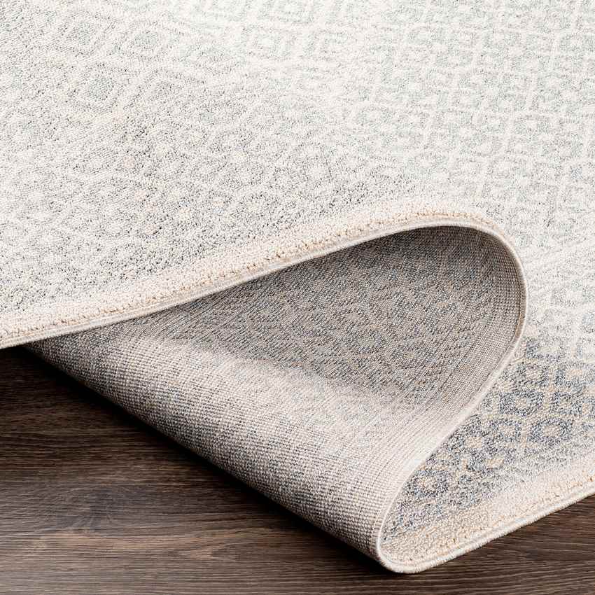 Heistraat Global Medium Gray Area Rug