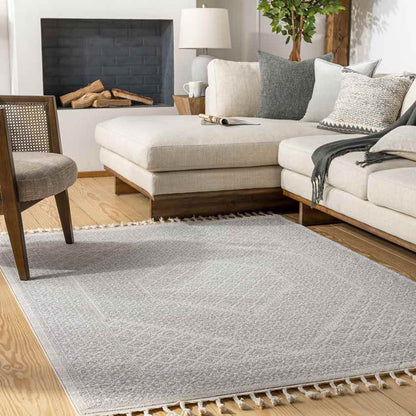 Heistraat Global Medium Gray Area Rug