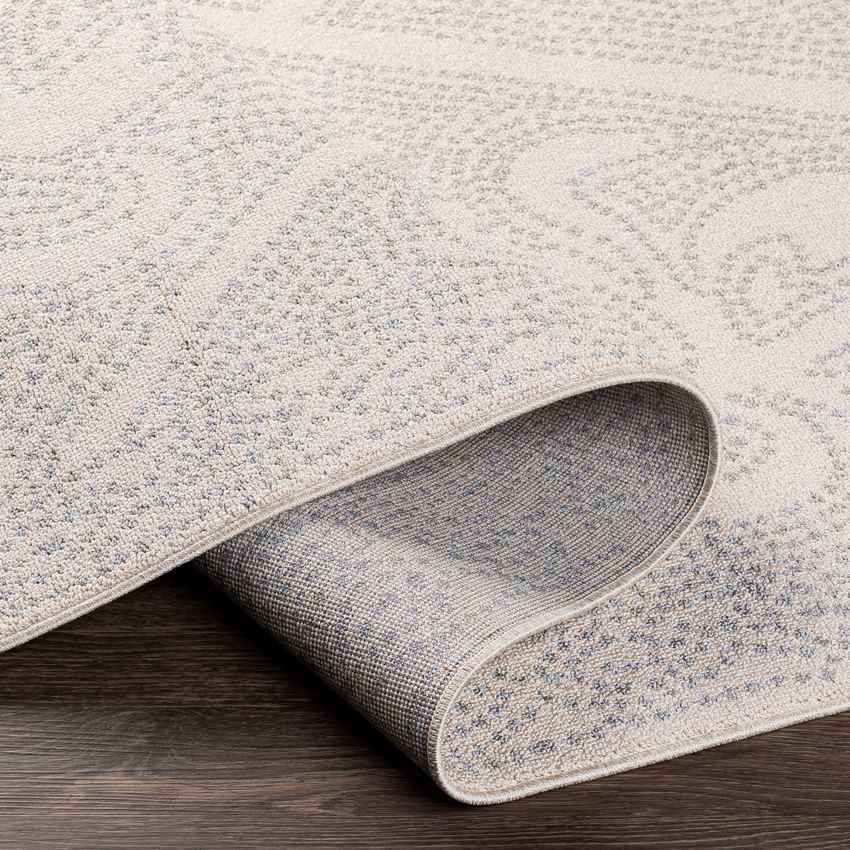 Hellegat Global Light Gray Area Rug