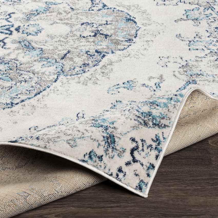 Brongerga Traditional Sky Blue Area Rug