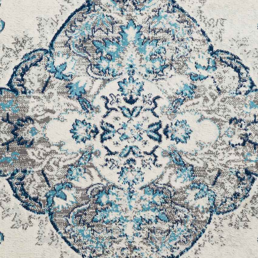 Brongerga Traditional Sky Blue Area Rug