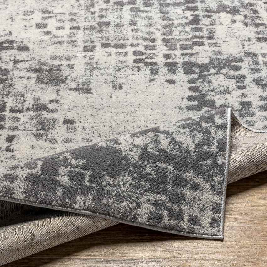 Horst Modern Charcoal Area Rug