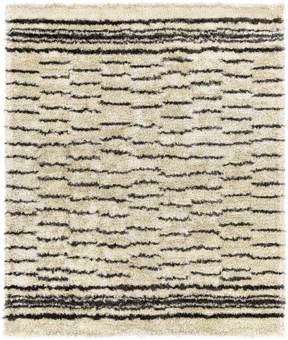Kameren Modern Charcoal Area Rug