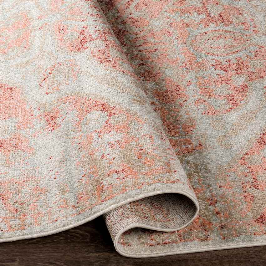Kreiel Traditional Pale Pink Area Rug