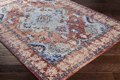 Kreijl Traditional Burned Orange Area Rug