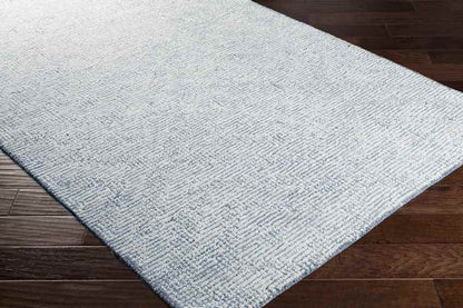 Ragaz Modern Gray Area Rug