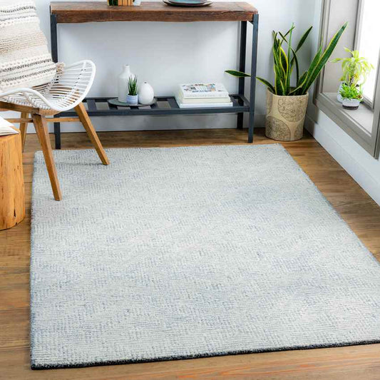 Ragaz Modern Gray Area Rug