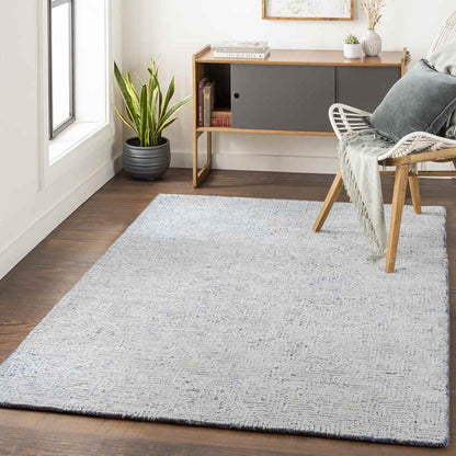 Ragaz Modern Gray Area Rug