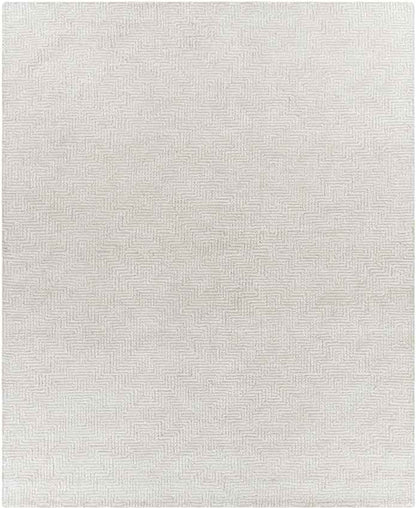 Ragaz Modern Taupe Area Rug