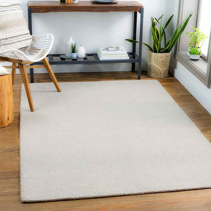 Ragaz Modern Taupe Area Rug