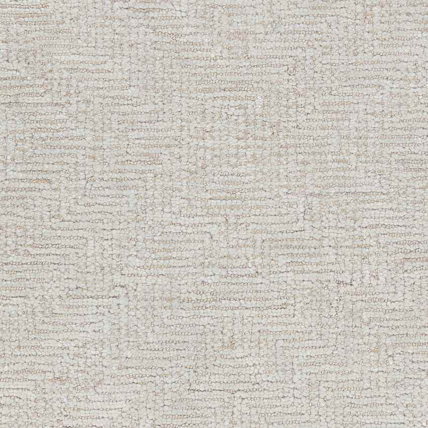 Ragaz Modern Taupe Area Rug