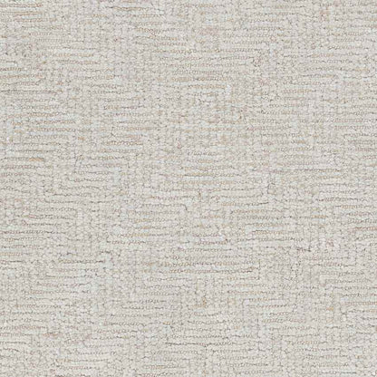 Ragaz Modern Taupe Area Rug