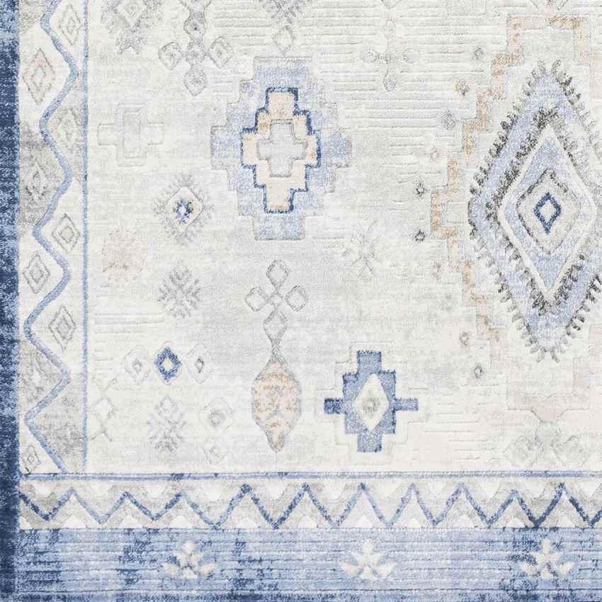 Langeweg Global Navy Area Rug