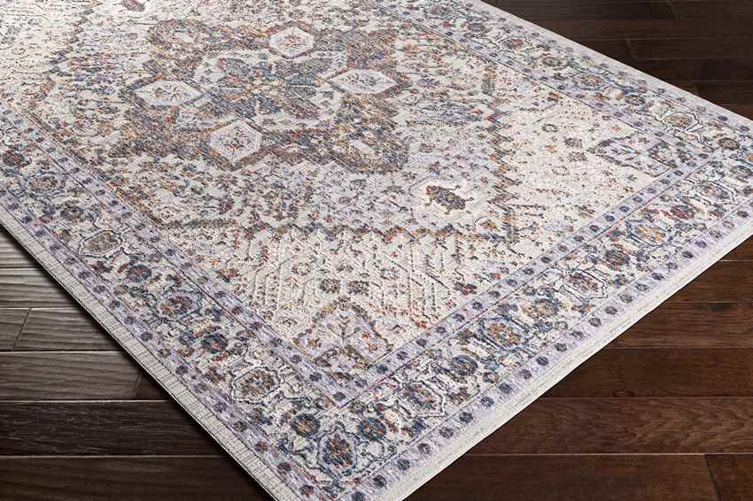 Lieseind Traditional Light Gray Area Rug