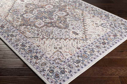 Lieseind Traditional Light Gray Area Rug