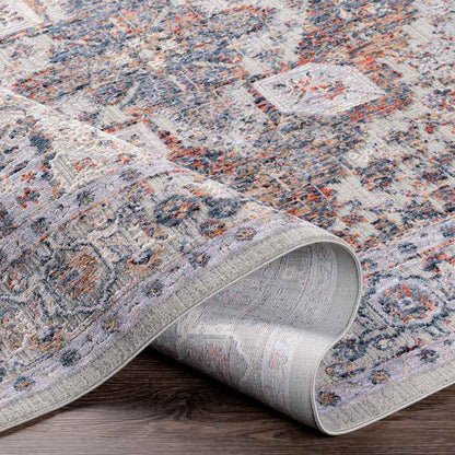 Lieseind Traditional Light Gray Area Rug