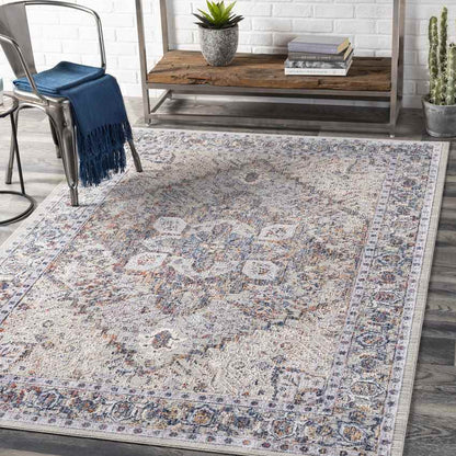 Lieseind Traditional Light Gray Area Rug