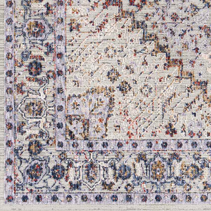 Lieseind Traditional Light Gray Area Rug