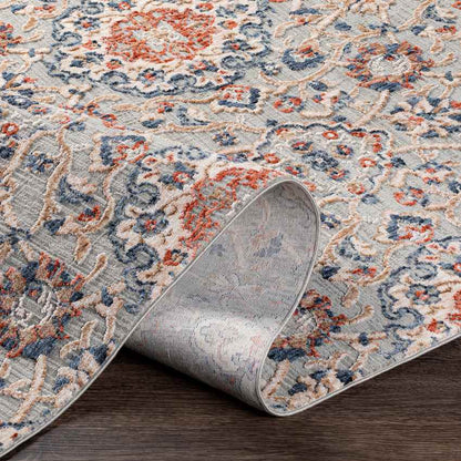 Lieveld Traditional Rust Area Rug