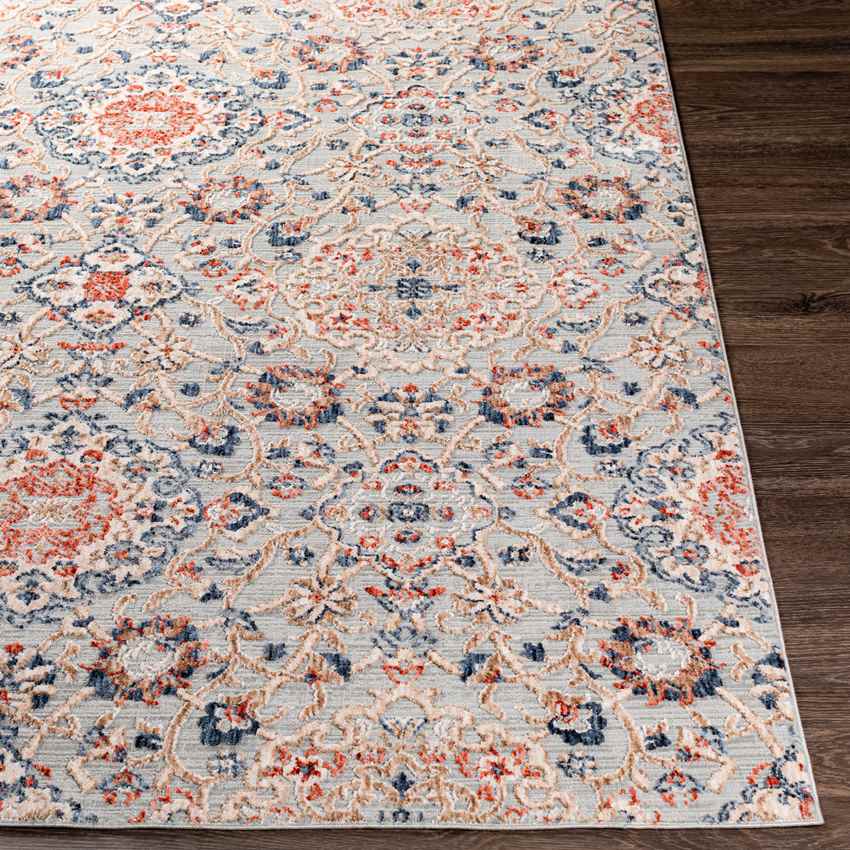Lieveld Traditional Rust Area Rug