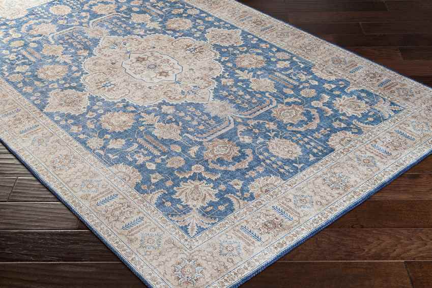 Loeswijk Traditional Blue Area Rug