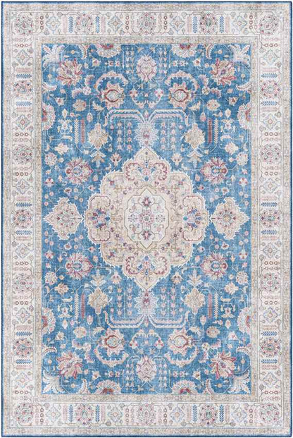 Loeswijk Traditional Sky Blue Area Rug