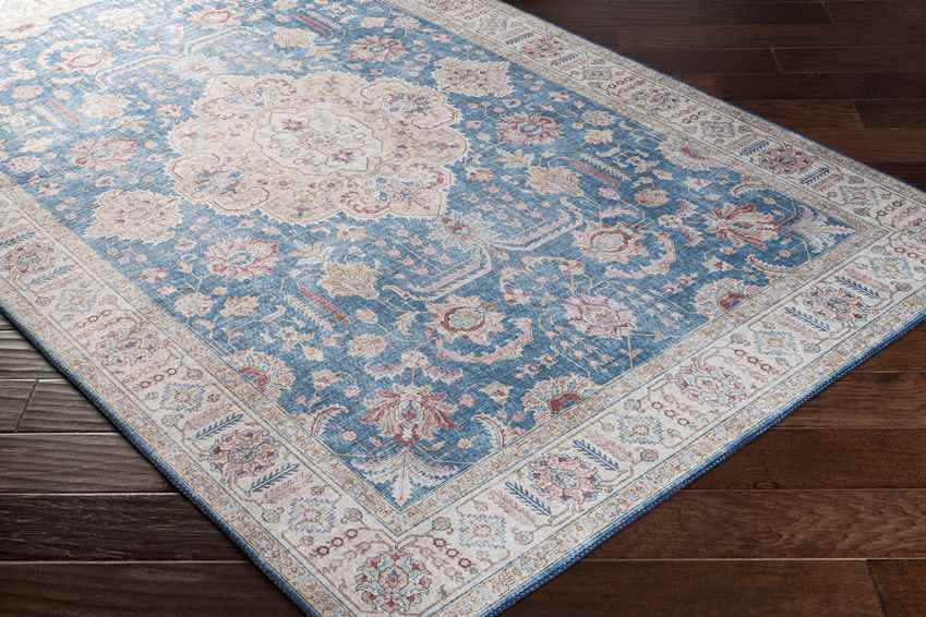 Loeswijk Traditional Sky Blue Area Rug