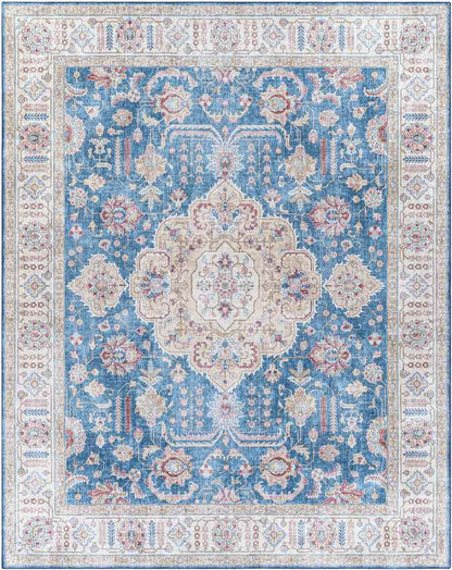 Loeswijk Traditional Sky Blue Area Rug