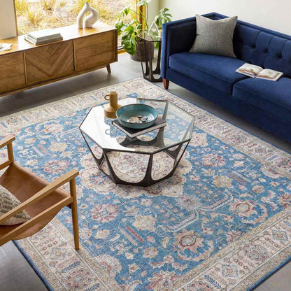 Loeswijk Traditional Sky Blue Area Rug