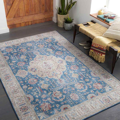 Loeswijk Traditional Sky Blue Area Rug