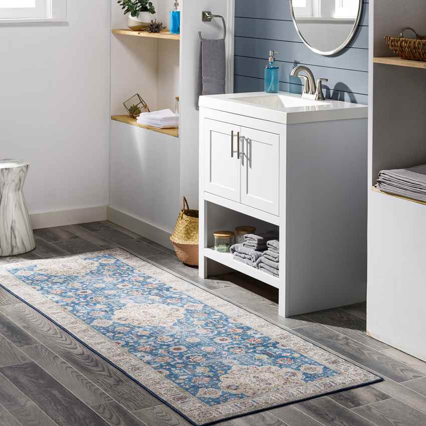 Loeswijk Traditional Sky Blue Area Rug
