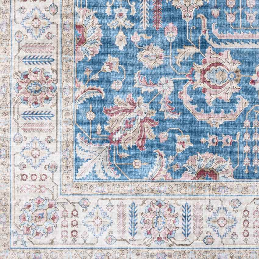 Loeswijk Traditional Sky Blue Area Rug