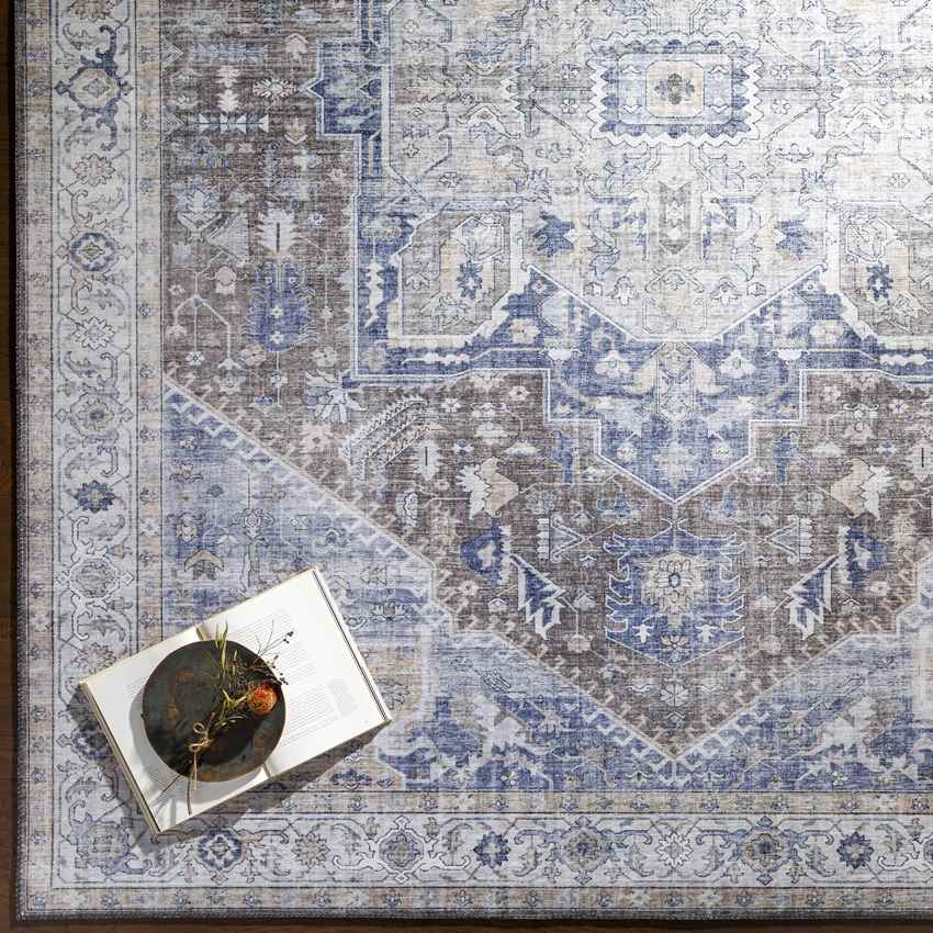 Maasdriel Traditional Dark Blue Area Rug
