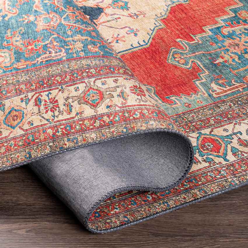 Loosbroek Traditional Bright Red Area Rug