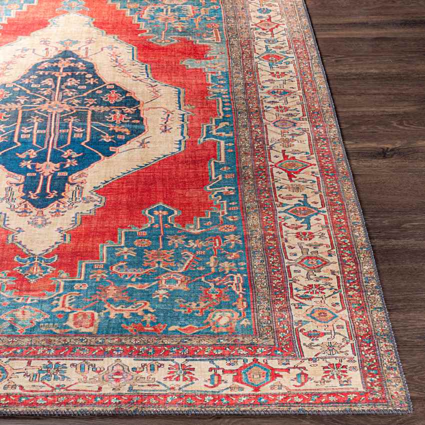 Loosbroek Traditional Bright Red Area Rug